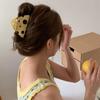 Y2k Hair Clip Hollow Shark Clip Fashion Cheese Acetate Hair Claw  Wash Face