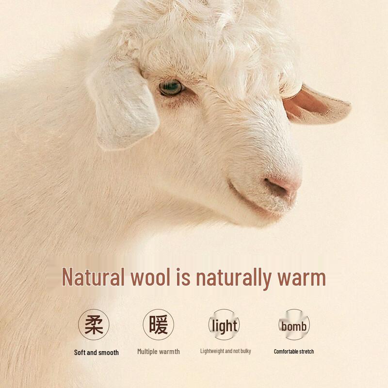 Hodo Men's 100% Wool Machine Washable Polo Sweater