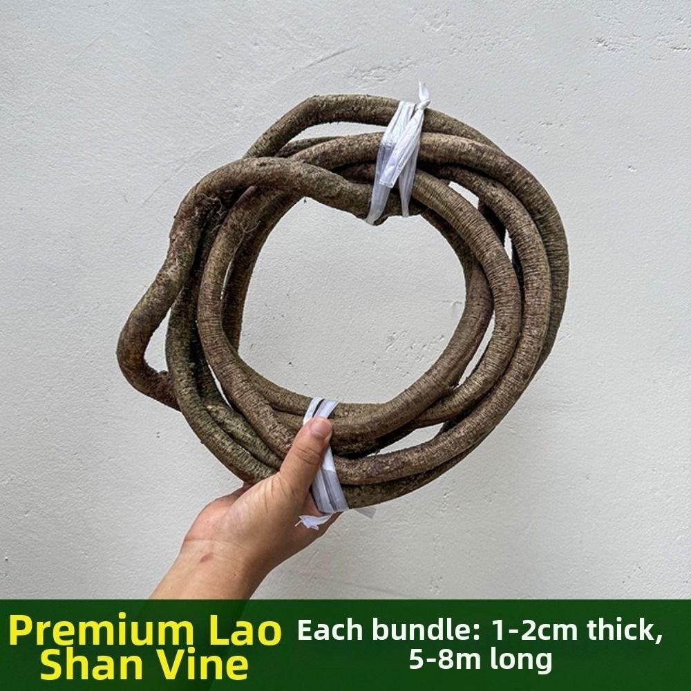 Plastic Silk Artificial Rose Vine 1.8m 22 Heads Wall Decor Rattan Home Decoration