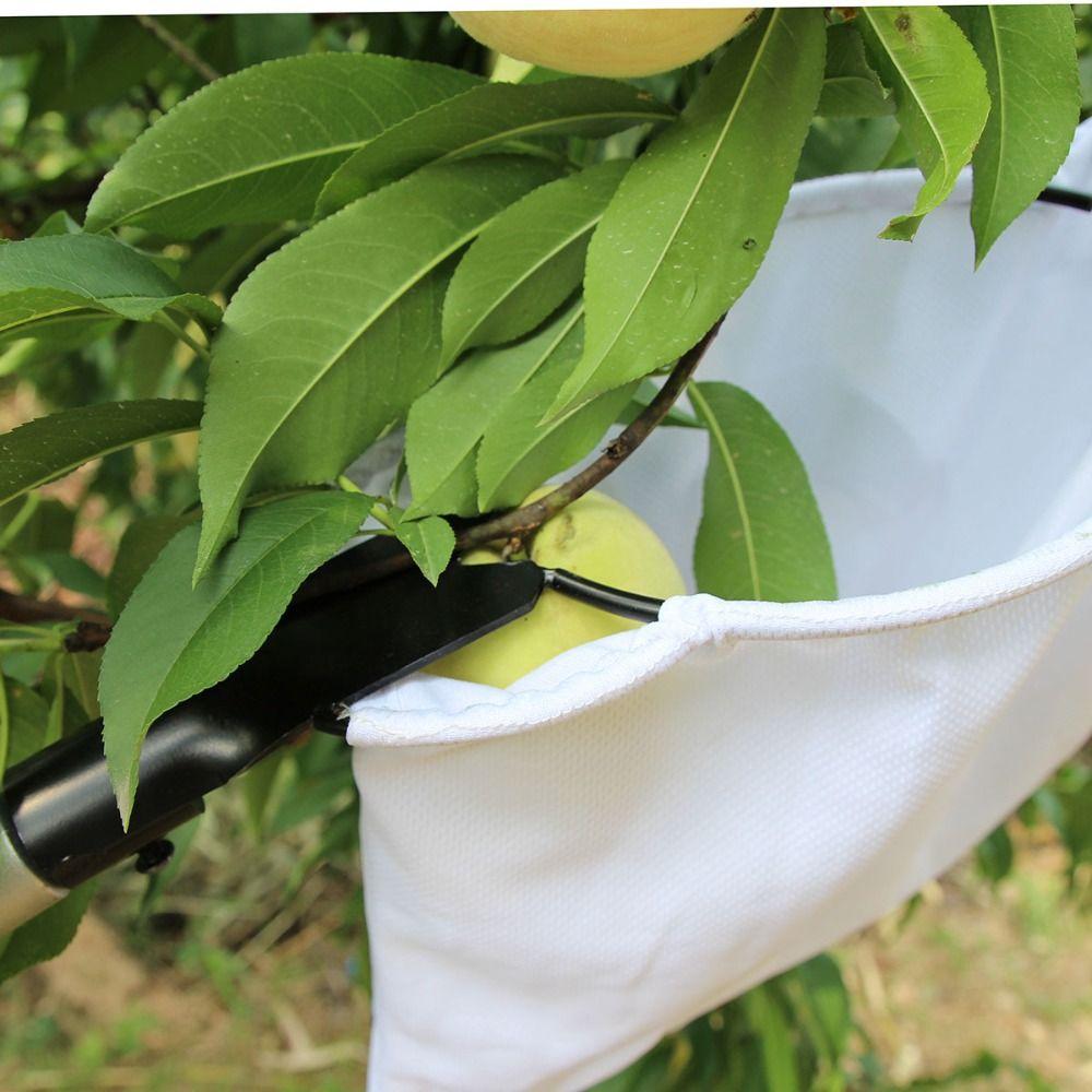 Телескопический плодосборник Мешочек для сбора фруктов на большой высоте Фермерские принадлежности Сборщик фруктов Сад