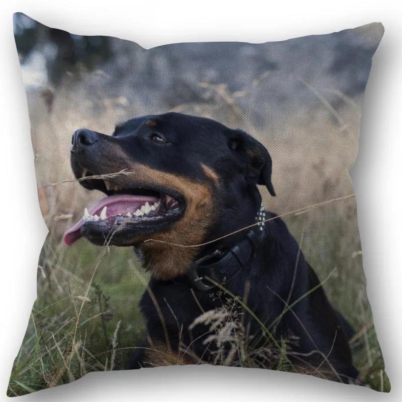 New Custom PET Rottweiler Pillowcase Cotton Linen Fabric Square Zipper Pillowcase Xcm Wedding Decorative Pillow Cover