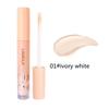 High Light Liquid Foundation Isolation Cream Hydrating Oil Control Modification Not Easy To Remove Makeup Lasting Waterproof Acne Mark Spot Concealer