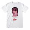 Унисекс футболка для взрослых Дэвида Боуи Aladdin Sane