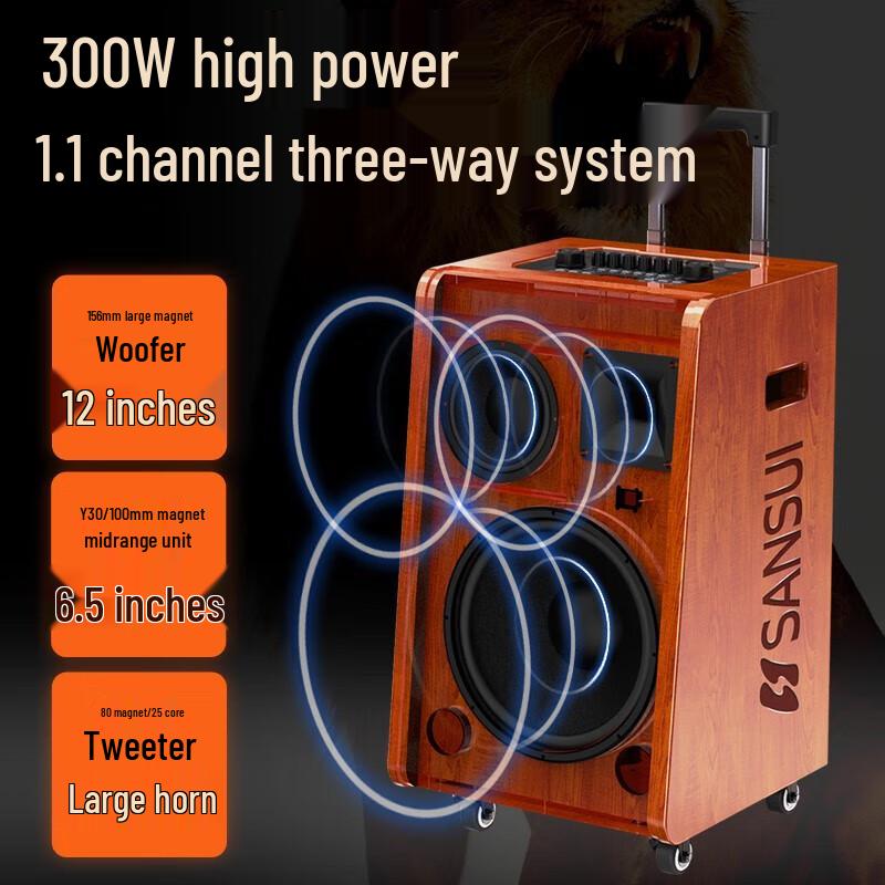 Sansui G12 High-Power Portable Karaoke Speaker