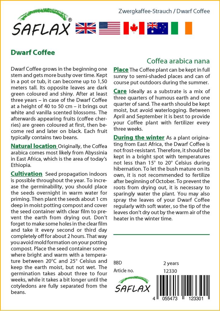 SAFLAX Кофе Карлик - 8 семян - Coffea arabica nana