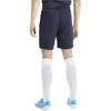 Puma TEAMGOAL 23 KNIT Повседневные шорты Мужские Синие 704262-06