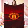 Manchester Warm Blanket Milk Silk Blanket Lightweight Blanket Decorative Blanket Wrinkle Resistant