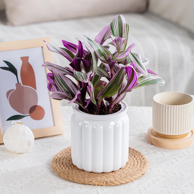 Круглые самополивающиеся цветочные горшки гидропонный горшок для растений ваза самопоглощающий водоем для домашнего бонсай настольный декор