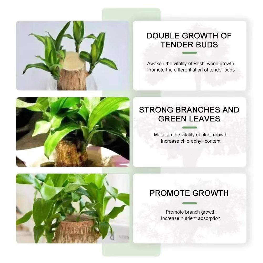 1/10 шт., специальный питательный раствор для древесины Бразилии, эффективное средство для улучшения здоровья растений, роста, многоцелевой усилитель роста растений