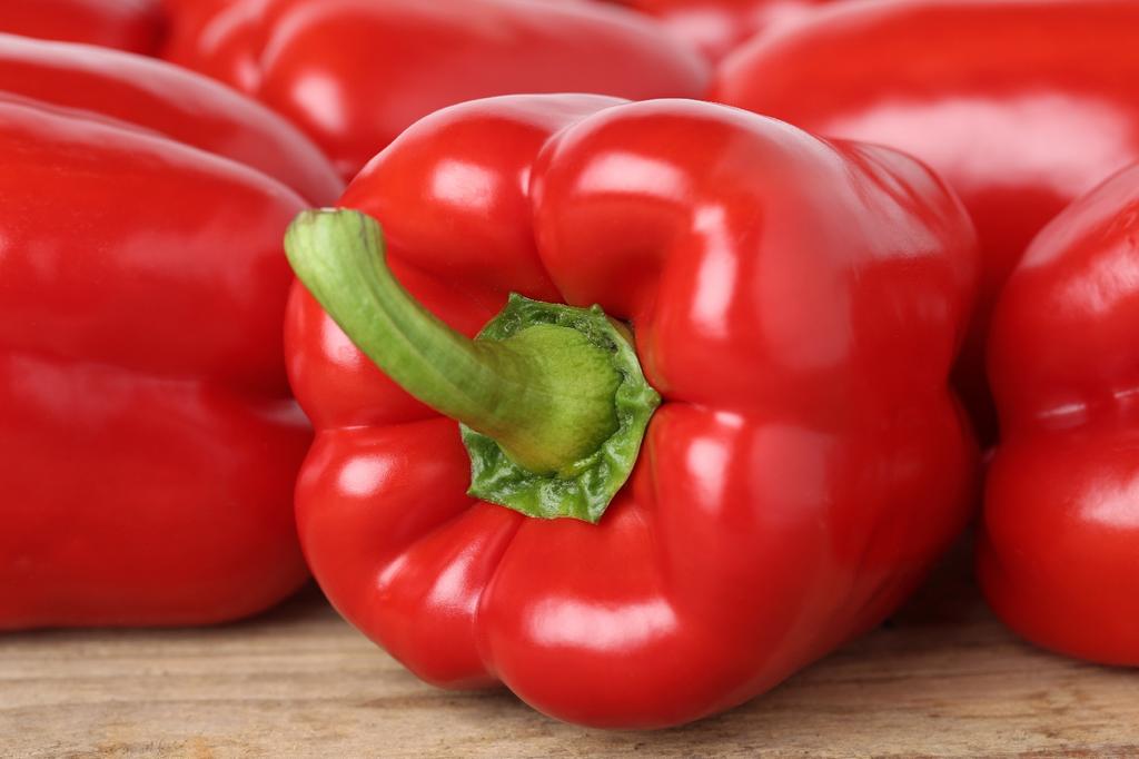 SAFLAX Organic - Sweet Pepper - California Wonder Red - 20 Seeds - Capsicum Annuum