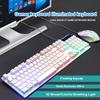 Gaming Keyboard Mouse Set No Driver Required Ergonomic Design DPI Adjustable Laptop Computer Wired Keyboard Mouse