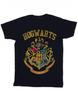 Mens Hogwarts Varsity T-Shirt