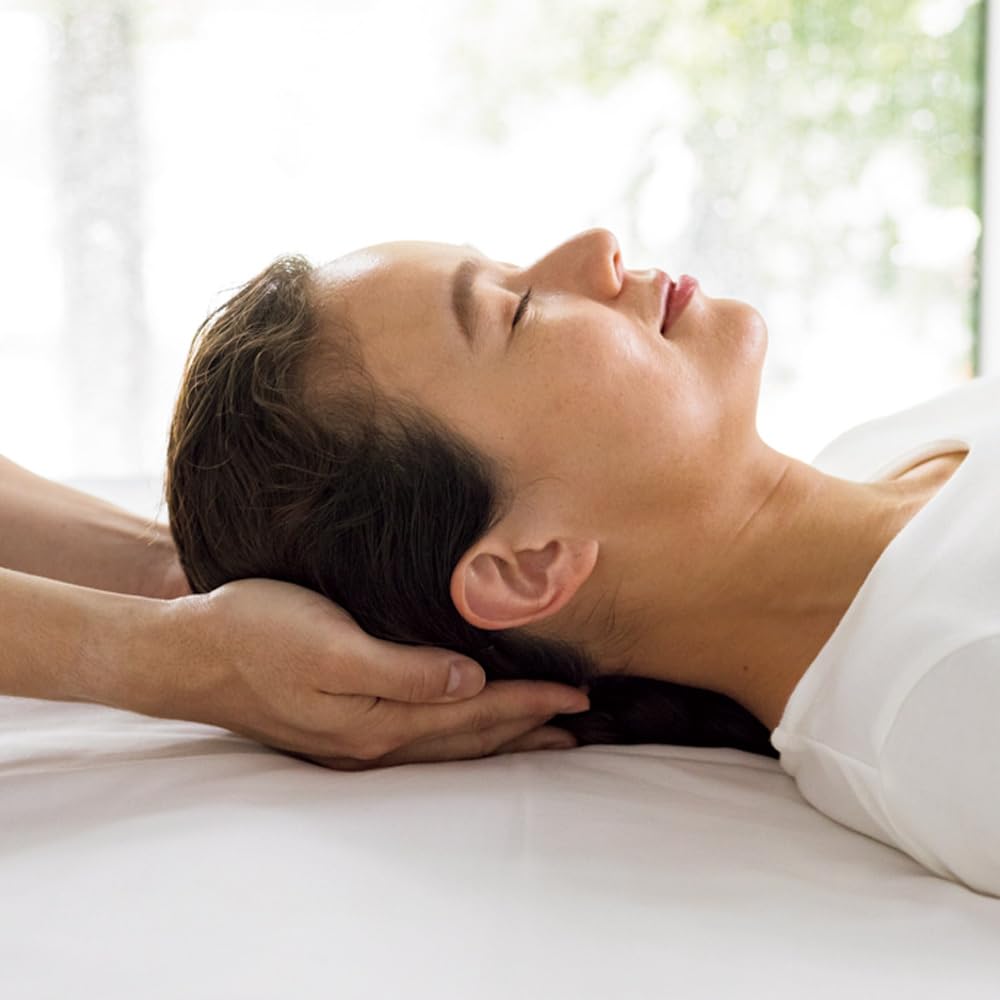 Dinos Bed Bedding Futon Pillow Relaxed Fit Pillow That Supports Your Neck At Just the Right Height Rich Plus Comes with a Value Pillow Cover Not