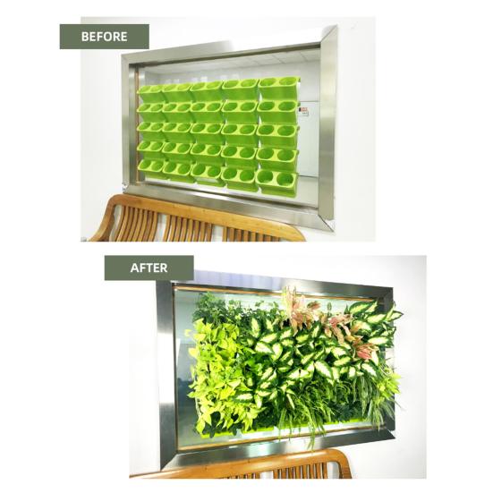 Вертикальный Сад Кашпо Подвесной Ящик для Посадки Ящик для Выращивания Овощей для Комнатных Растений Офис Домашний Декор