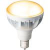 Iwasaki LED Light Bulb LDR30L-H-E39W827
