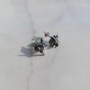 [Noblen] Surgical Steel Wolf Men's Pendant Piercing (S8605671)