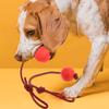 4 Pieces Dog Rope Ball Dog Ball On A Rope, Durable Elastic Solid Rubber Balls Interactive Rubber Ball Chew Toys For Small Medium
