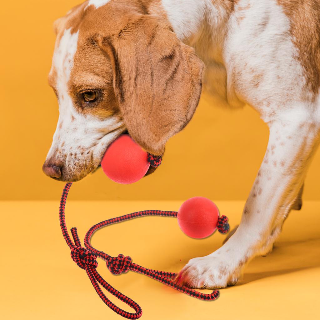 4 Pieces Dog Rope Ball Dog Ball On A Rope, Durable Elastic Solid Rubber Balls Interactive Rubber Ball Chew Toys For Small Medium