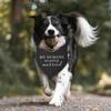 Engagement Gift for Couples, My Humans are Getting Married Dog Bandana for Dogs Perfect Dog Wedding Bandana Engagement Announcement Gift for Couples