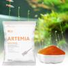 60G Aquarium Hatching Tropic Fish Food for Feeding Baby Fishes Artemia Shelling Eggs Brine Shrimp Shelling Eggfood