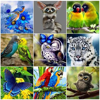 5D DIY алмазная живопись животное попугай Сова птица вышивка крестиком полная дрель Алмазная вышивка мозаика художественная картина Декор из страз