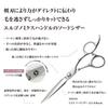DEEDS GTZ Sword Scissors by Japanese Scissors Professional Hairdresser and Haircutter with Case [PF] (6.0 inch) Manufacturer,
