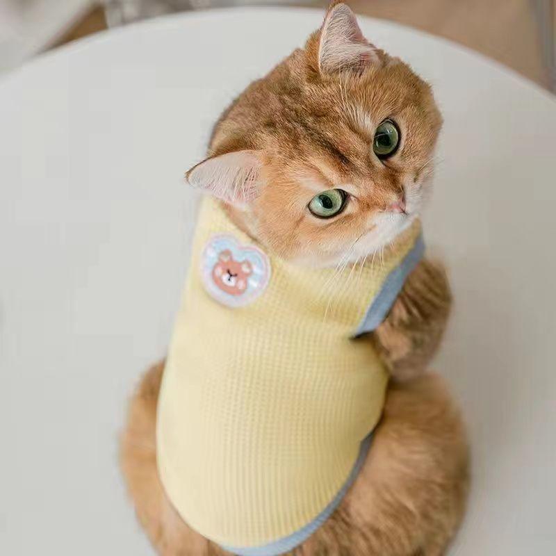 Cat puppy dog clothes autumn and summer thin than the bear French fight Internet celebrity pet Corgi teddy Pomeranian, small
