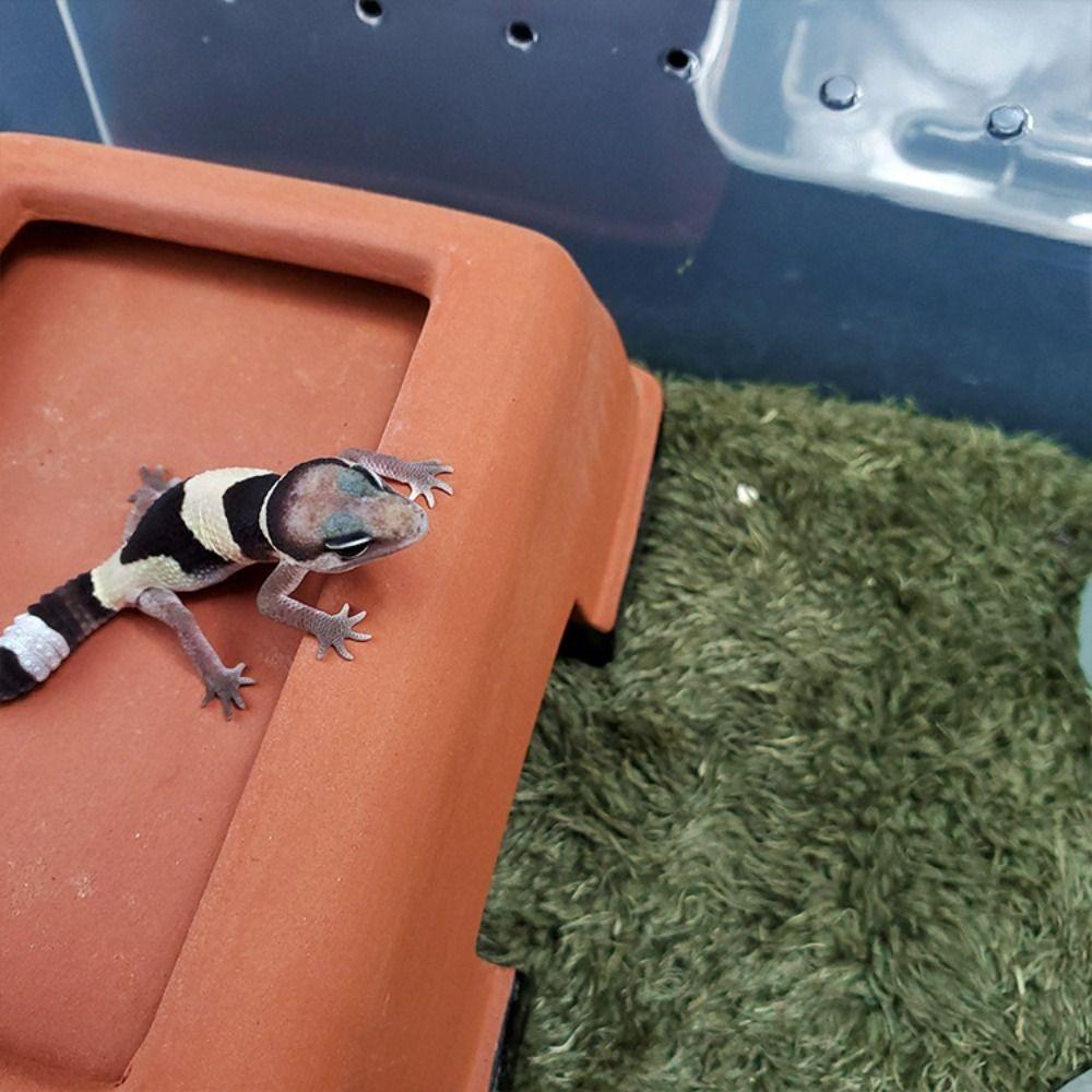Moisturizing Reptile Carpet Simulation Green Artificial Grass Mat Foldable Rectangle/Square Micro Landscape For Snake Lizard