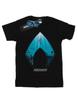 Mens Aquaman Ocean Logo T-Shirt