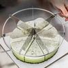 Easy To Use Design Cake Slicer Circular Cutter Multiple Portion Sizes