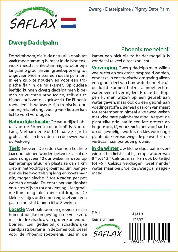 SAFLAX Финиковая пальма пигмейская - 25 семян - Phoenix roebelenii