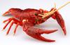 Бесплатная исследовательская серия Существа Американский рак Пластиковая модель №24 (красный)