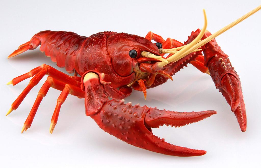 Бесплатная исследовательская серия Существа Американский рак Пластиковая модель №24 (красный)