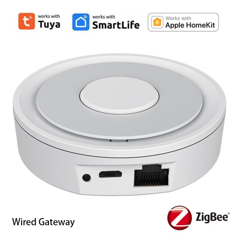 Tuya Zigbee Smart Temperature and Humidity Sensor Micro USB / Battery Powered Home Security Work with Homekit Alexa Google Home