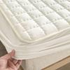 Waterproof Quilted Mattress Cover Solid Color Mattress Protector Cover for Bedroom Anti-bacterial Bed Cover No Pillowcase