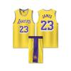 Джерси Джеймса №. Детский баскетбольный комплект формы «Лейкерс» № 23
