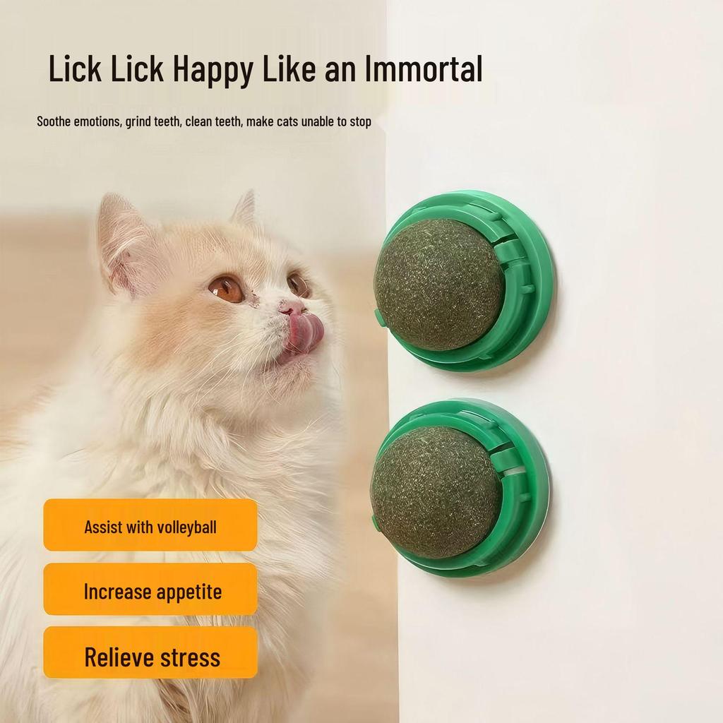Catnip Ball Toy: Teeth-Cleaning, Bite-Resistant, Self-Play Rotating Teaser for Cats