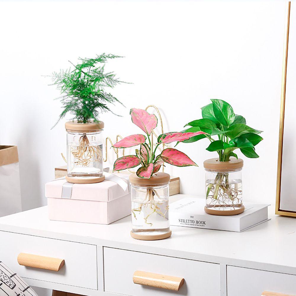 Plant Imitation Glass Resin Material Home Decor Garden Supplies Hydroponic Flowerpot Flower Planter