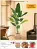 Искусственное дерево Стрелиция - Роскошная зелень для декора гостиной