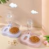 Pet Supplies New Cat Drinking Water Feeding Bowl Neck Care Oblique Mouth Bowl Pet Bowl Automatic Water Refill Pet Products