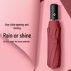 Fully Automatic Large Umbrella - Dual-Use for Sun and Rain, Anti-UV Protection