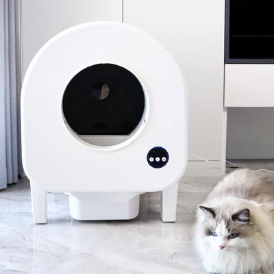 Кошки – Товары по уходу за кошками