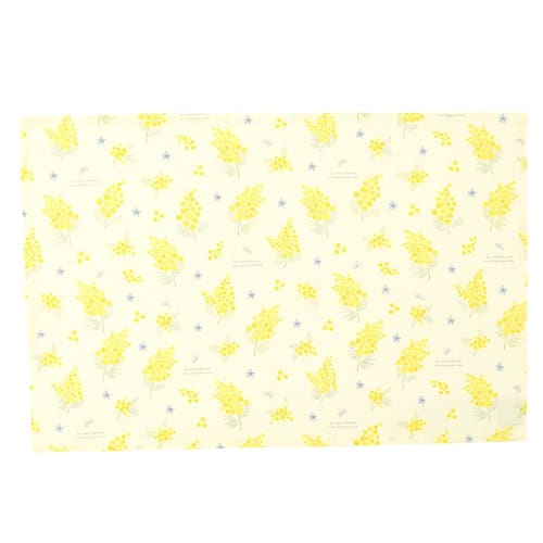 Set of 2 Water-Repellent, No-Iron Placemats (40cm x 60cm) | Popular for Boys and Girls (Mimosa Fleur)