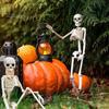 Halloween Skeleton Full Body Posable Joints Realistic Human Skeleton Decorations for Party Haunted House Trick-or-Treat Festive Toy
