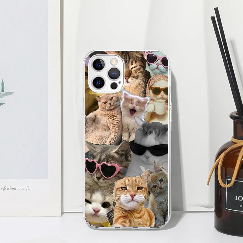 Crying Cat Memes Phone Case For Iphone 17 Air 16 15 Plus 16E 14 Pro Max 13 Mini 12 11 7 8 SE Fundas Soft Back Cover 17 Air 16 15