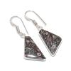 Crinoid Gemstone 925 Sterling Silver Jewelry Earring 1.58"