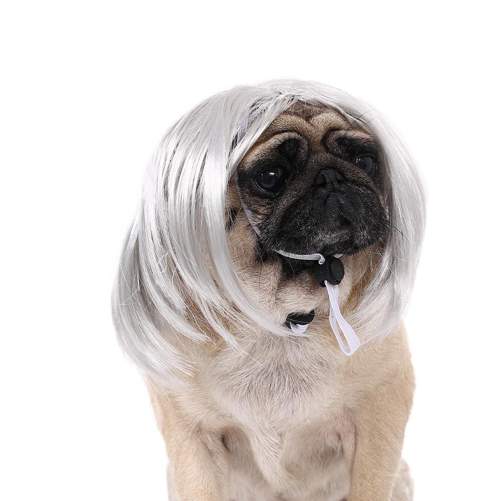 Adorable Pet Wig With Bangs Cute Bob Style For Cats And Dogs In Vibrant Colors