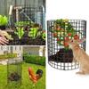 Проволочная защита растений от животных Набор клеток для защиты растений Защита ствола дерева