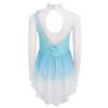 Girls Mock Neck Mesh Long Sleeves 3D Flowers Rhinestones Gradient Color Skating Dance Dress