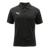 Футболка с коротким рукавом Store Edition Vqc 659462 03 Puma Team Goal Polo Asia Sp
